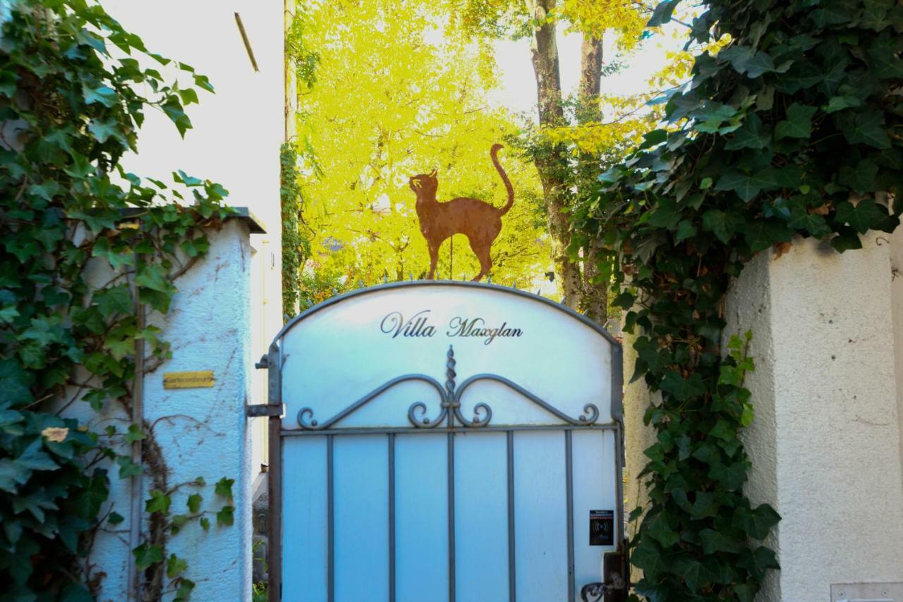 Villa Maxglan Salzburg Exterior photo